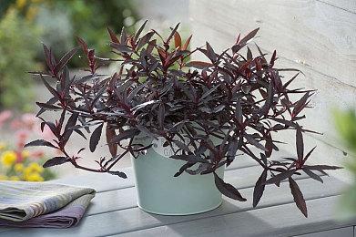 《赛博朋克2077》1.31更新推出 完整日志发布